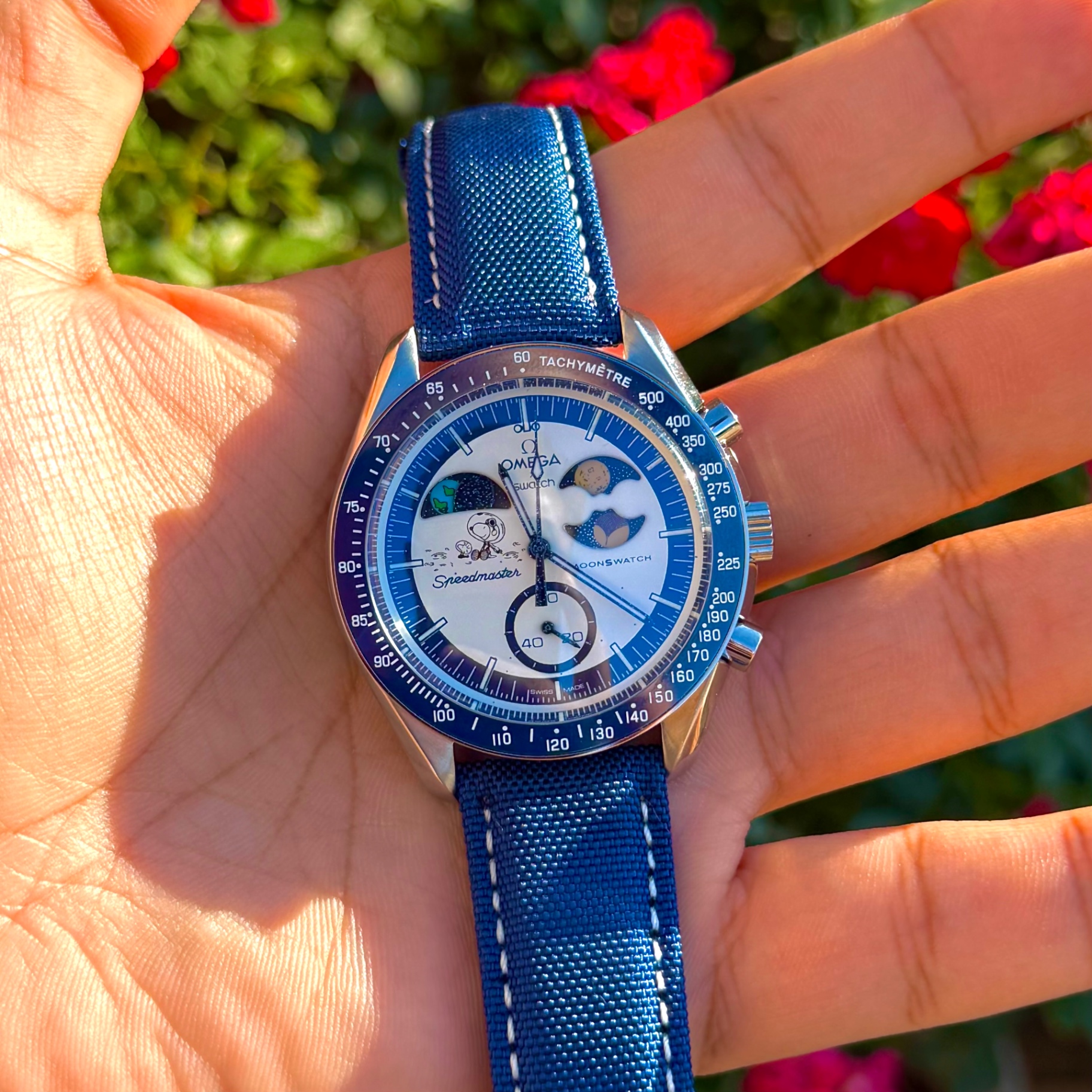 Blue Snoopy - Steel w/ Nylon 1